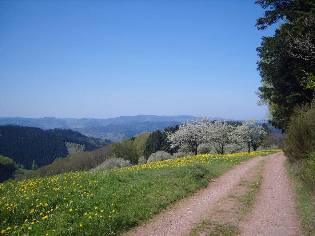 오베르하머스바크 Langenberghof 아파트 외부 사진