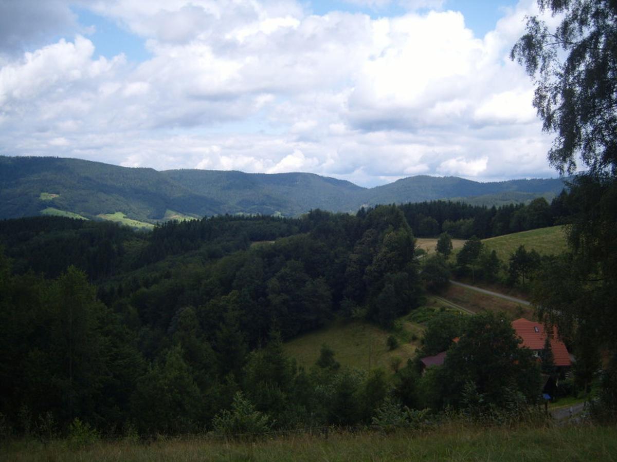 오베르하머스바크 Langenberghof 아파트 외부 사진